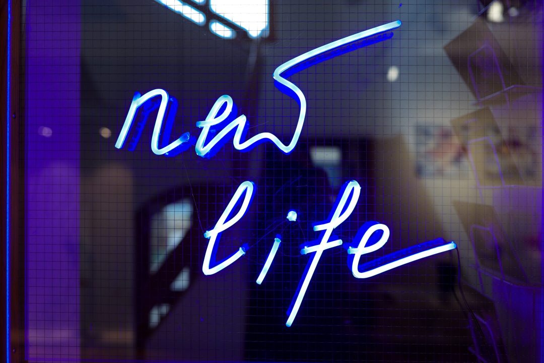 Ausstellung "new life"